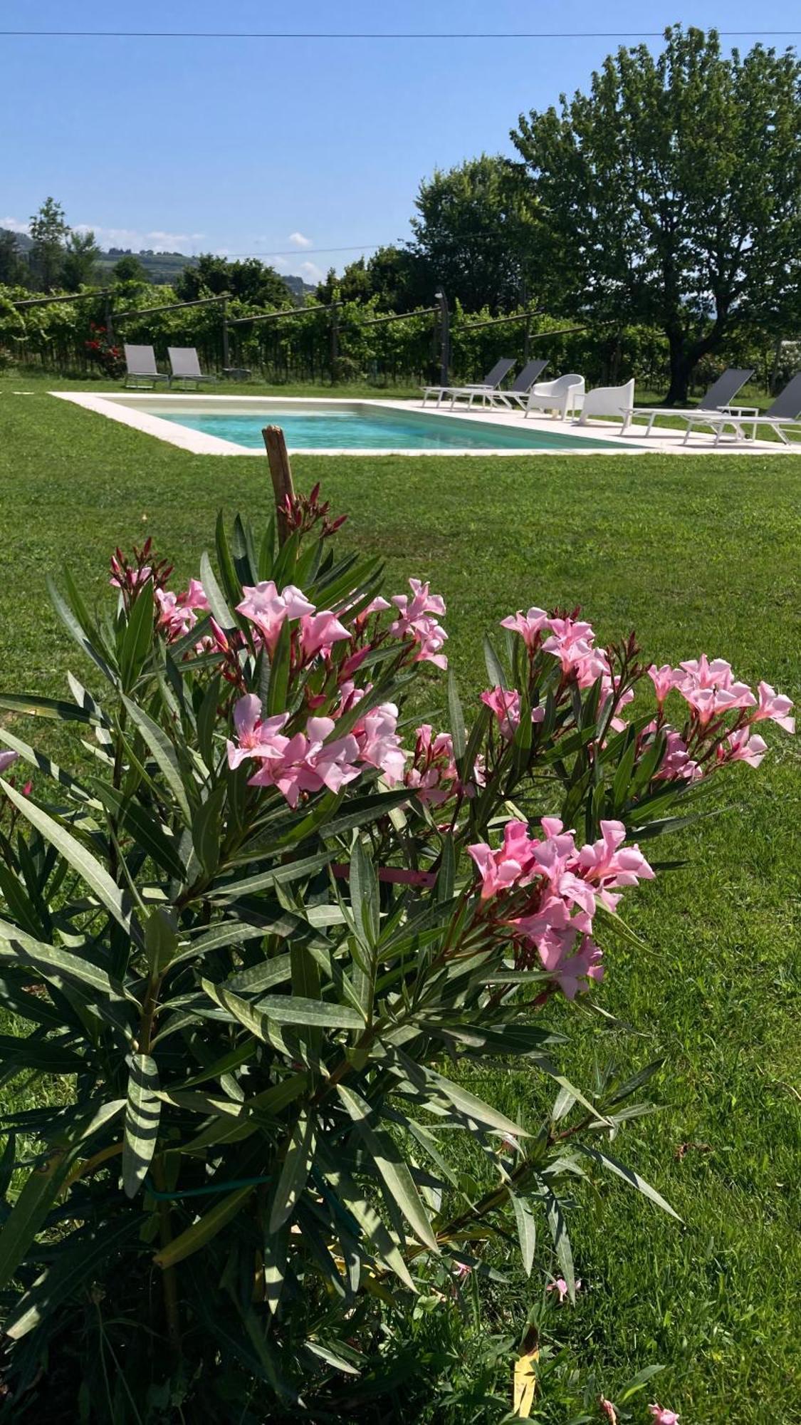 B&B Campagnon Valpolicella Sant'Ambrogio di Valpolicella Exterior photo