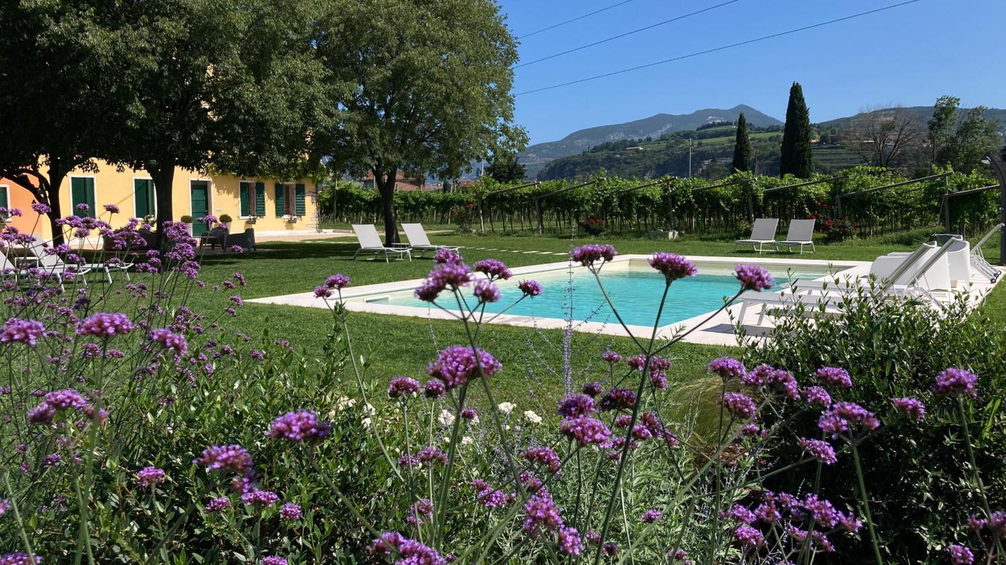 B&B Campagnon Valpolicella Sant'Ambrogio di Valpolicella Exterior photo