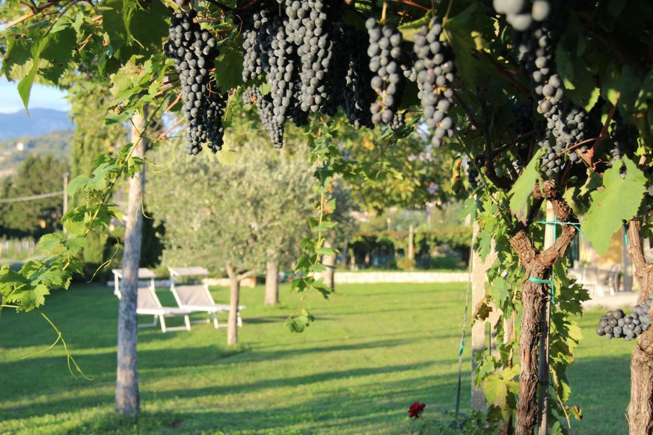 B&B Campagnon Valpolicella Sant'Ambrogio di Valpolicella Exterior photo